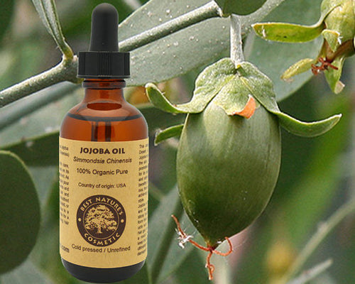 Organic Virgin Jojoba Oil – Natural Cold Pressed