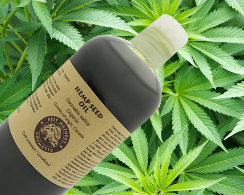 Organic Hemp Seed Oil – Cold Pressed Unrefined
